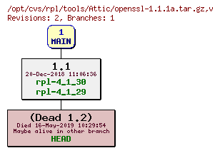 Revision graph of rpl/tools/Attic/openssl-1.1.1a.tar.gz